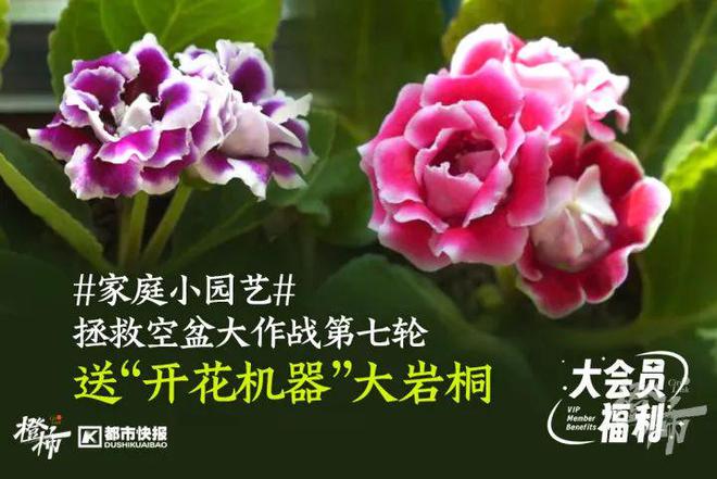 几分钟？橙柿请你挑战自我k8凯发入口爬60层楼要(图4)