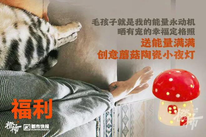 几分钟？橙柿请你挑战自我k8凯发入口爬60层楼要(图9)